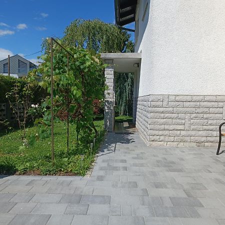 Magnolia Apartment - Free Private Parking Laibach Exterior foto